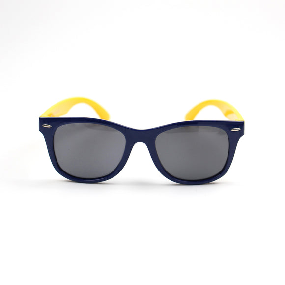sunglass polarized