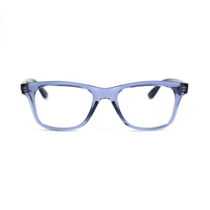 RayBan Shinny Eyeglasses