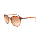 Vogue Fashionable Havana Sunglasses