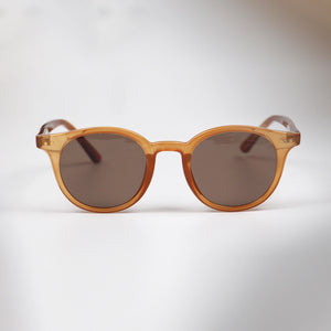 Modern Brown Women Sunglasses